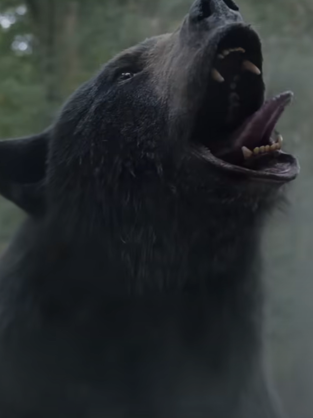 cocaine bear